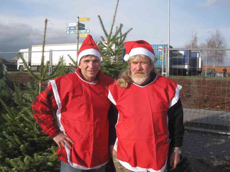 Prodejce vánočních stromků - foto 1