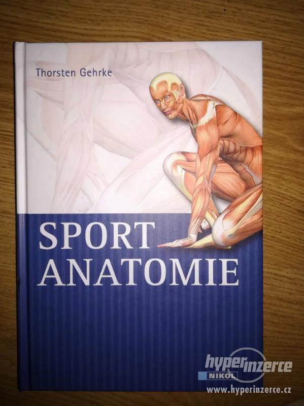 Sport Anatomie - Thorsten Gehrke (Deutsch) - foto 1