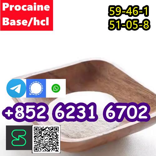 CAS 59-46-1 Procaine with high quality hot sale stock - foto 4