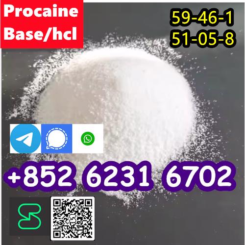 CAS 59-46-1 Procaine with high quality hot sale stock - foto 3