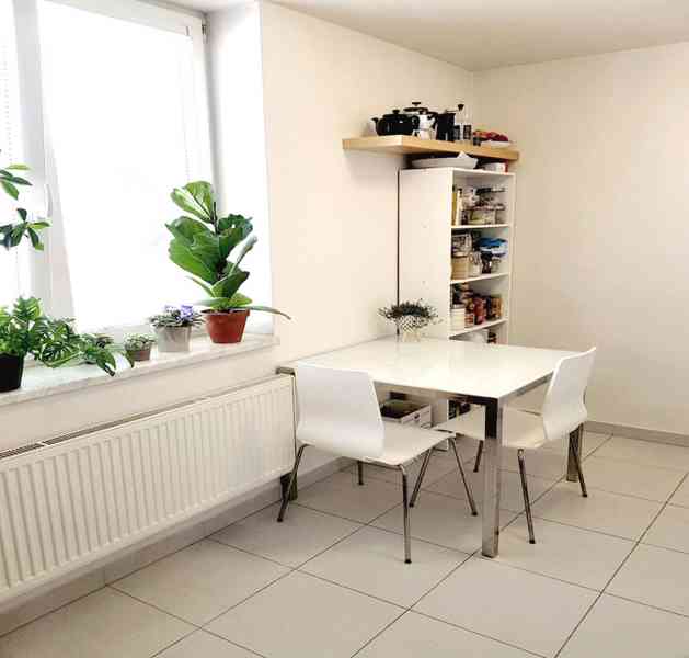 Pronajmu novostavbu 1+1 Brno, U Leskavy - foto 7