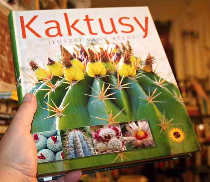 KAKTUSY - ilustrovaný atlas ... NEJLEVNĚJI!!! - foto 1