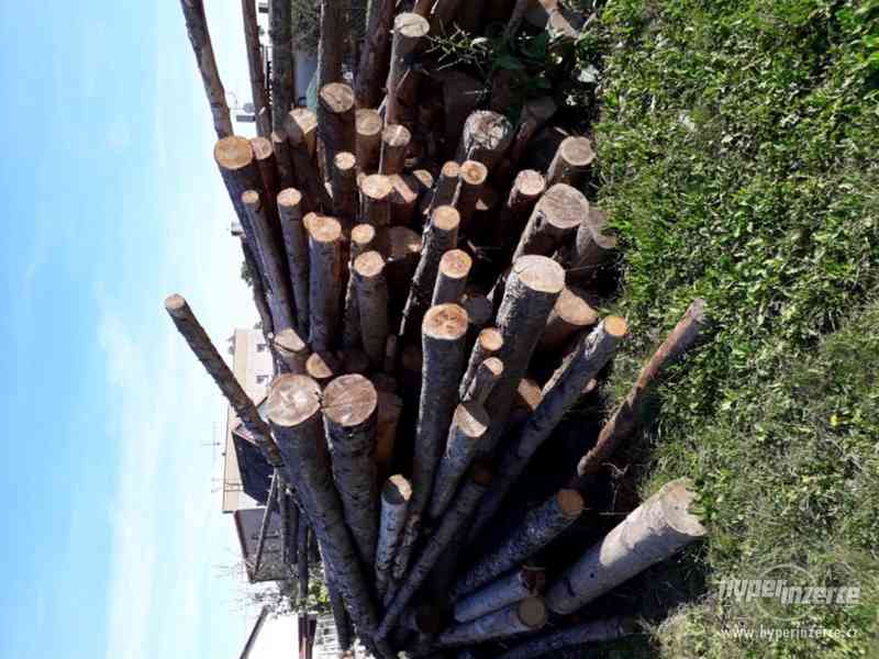 Palivove dřevo - foto 3