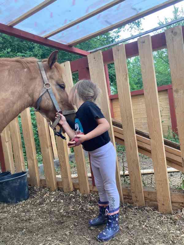 Letní příměstské tábory u koní v Praze-Zličíně - foto 8