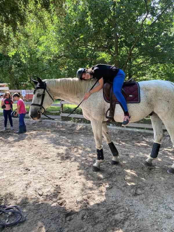 Letní příměstské tábory u koní v Praze-Zličíně - foto 7