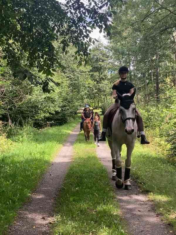 Letní příměstské tábory u koní v Praze-Zličíně - foto 5