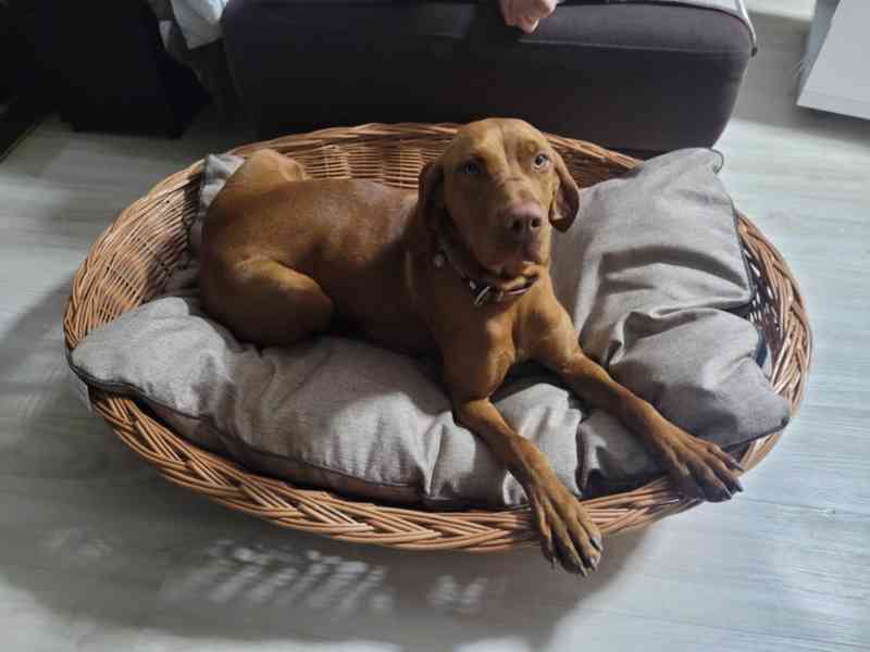 Nový Ratanový Nábytek (Možnost Bezplatného Dovozu) - foto 17