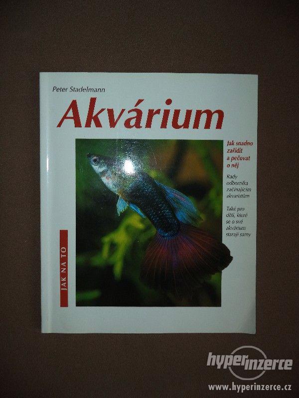 Kniha Akvárium - foto 1