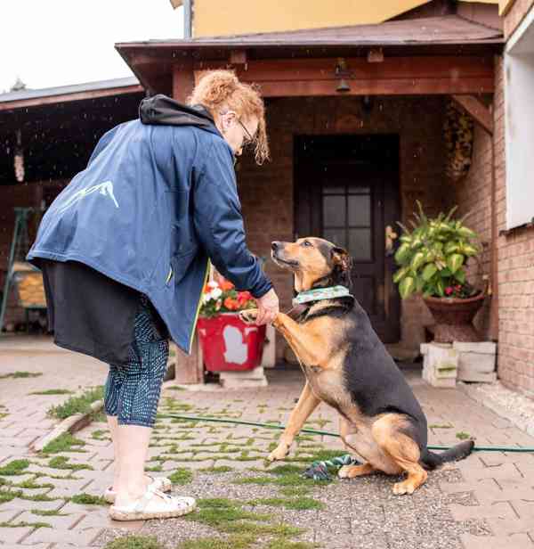 MÍŤA - 29 kg, kastrovaný psík 9 let - foto 1