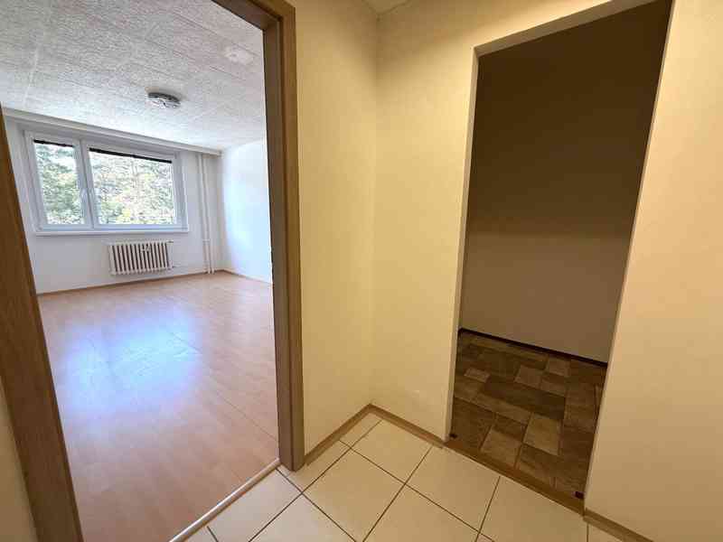 PRONÁJEM KRÁSNÉHO BYTU O DISPOZICI 2+1 S LODŽIÍ A SKLEPEM V  - foto 11