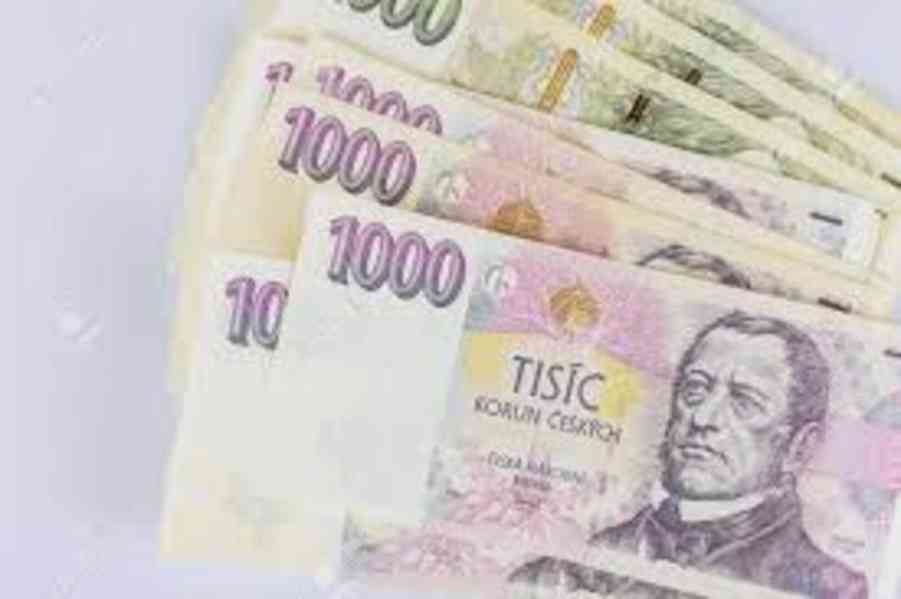 Finanční pomoc mezi jednotlivci:  - foto 3