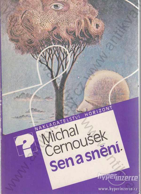 Sen a snění Michal Černoušek 1988 - foto 1