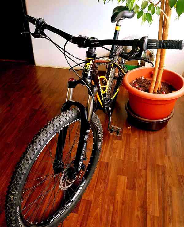 Prodoli Limited Edition - foto 6