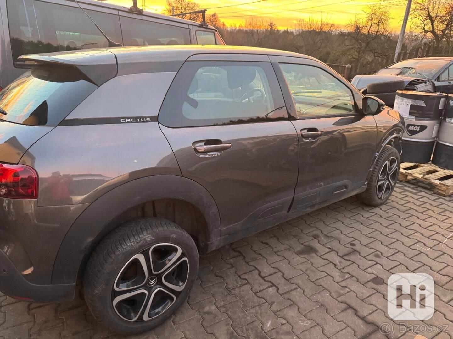 C4 cactus 1.2 81kw - foto 1