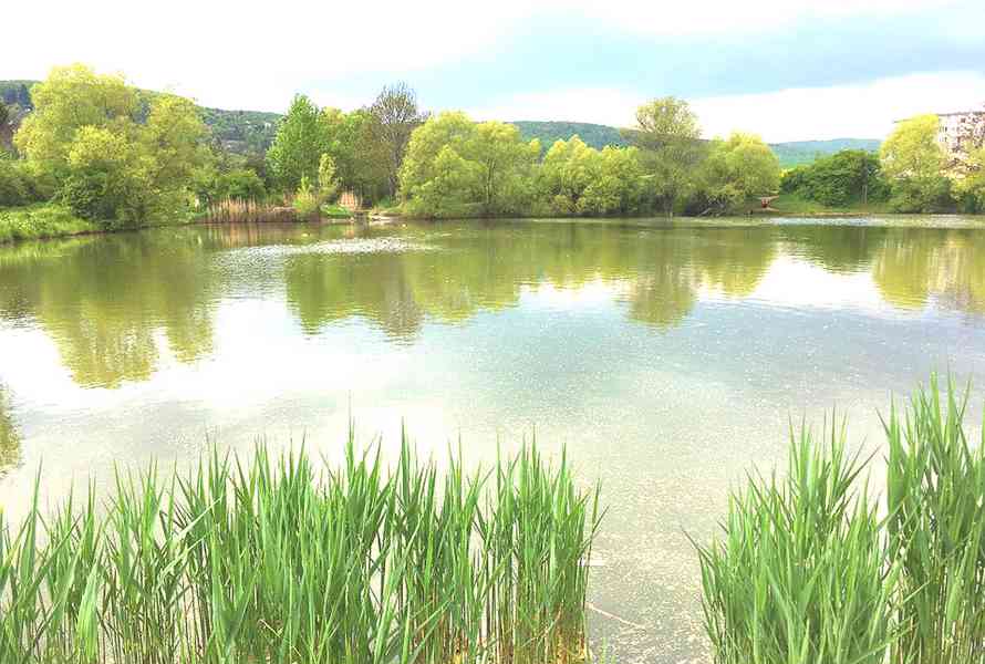 Pronajmu moderní 2+kk Brno, Medlánky, 57 m2. 5.p - foto 31