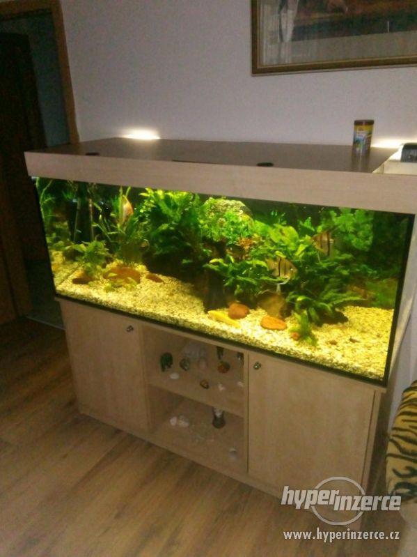 Prodám akvárium 500l - foto 1