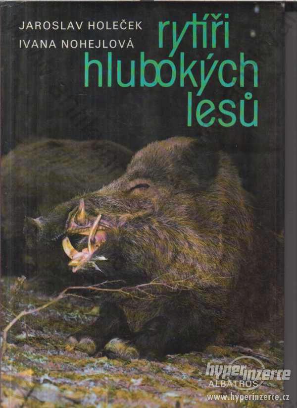 Rytíři hlubokých lesů J.Holeček I. Nohejlová 1989 - foto 1