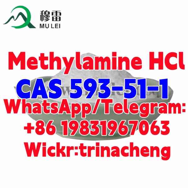 CAS 593-51-1 Methylamine HCl / Methylamine hydrochloride - foto 1
