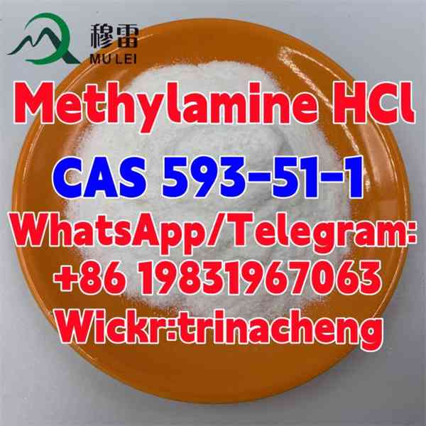 CAS 593-51-1 Methylamine HCl / Methylamine hydrochloride - foto 3