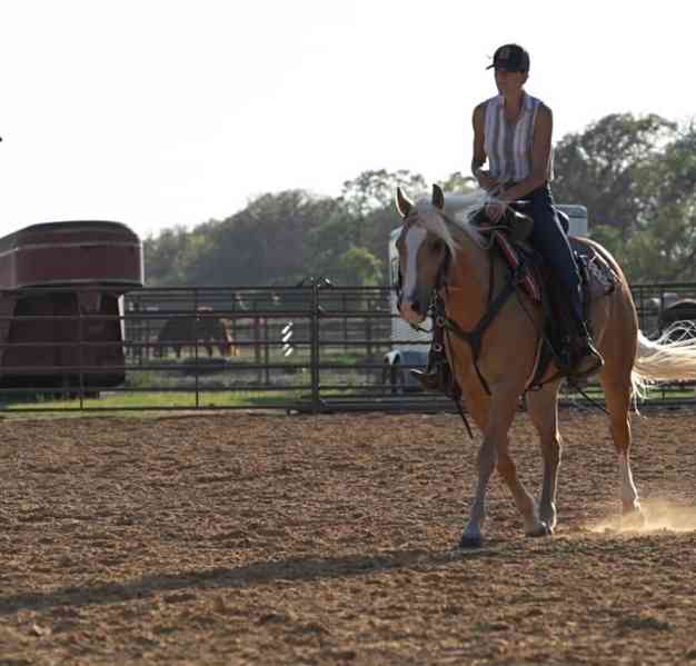 Valach Quarter Horse - foto 2