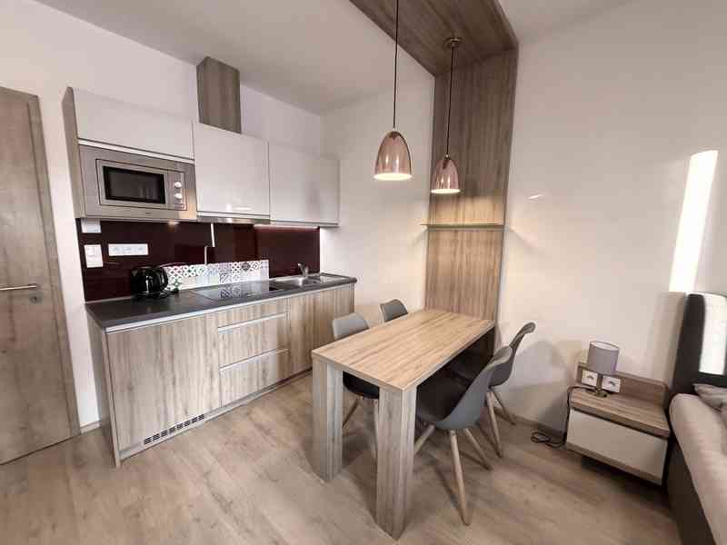 NABÍDKA PRODEJE APARTMÁNU 1+KK NA DOLNÍ MORAVĚ - foto 4