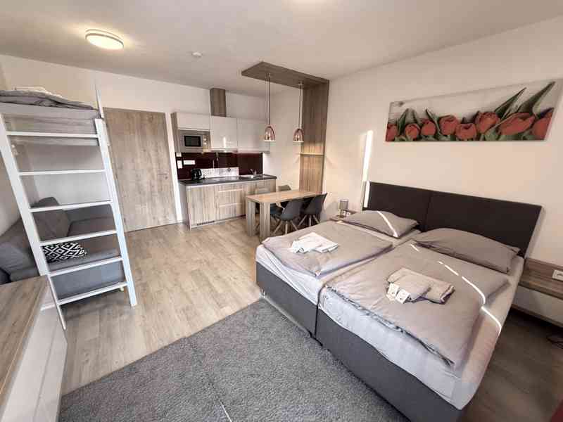 NABÍDKA PRODEJE APARTMÁNU 1+KK NA DOLNÍ MORAVĚ - foto 2
