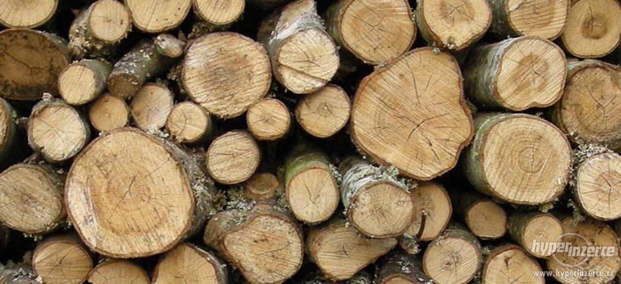 Palivové dřevo - Strakonicko - foto 1