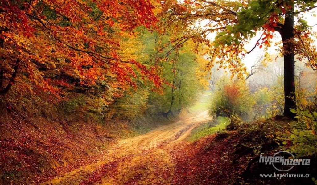 Krásy podzimu - Sázava a Sluneční zátoka - foto 1