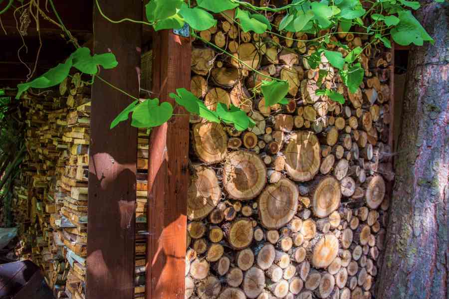 Krásná chata k pronájmu u řeky Sázavy kousek u Prahy - foto 10