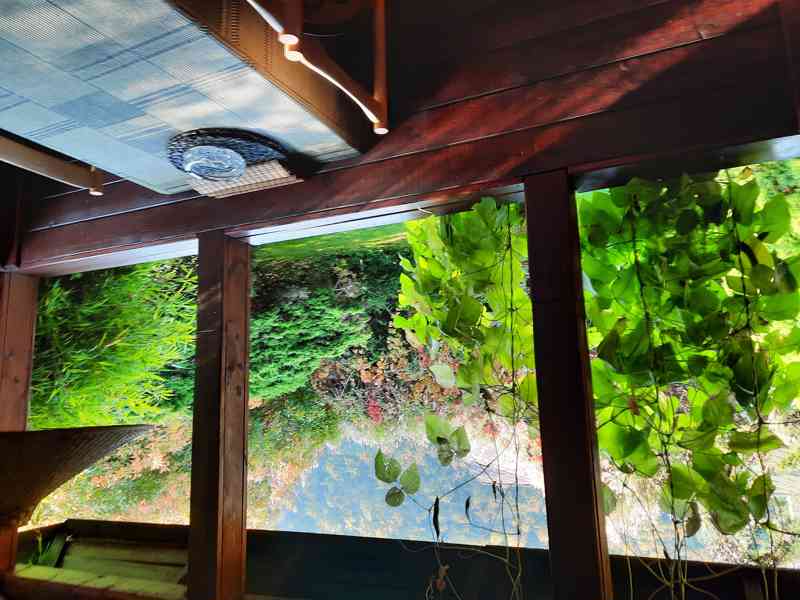 Krásná chata k pronájmu u řeky Sázavy kousek u Prahy - foto 4