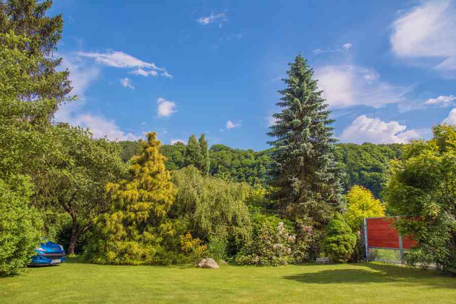 Krásná chata k pronájmu u řeky Sázavy kousek u Prahy - foto 3