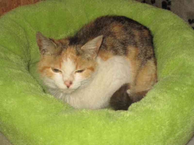 Kamarádka Tuci - foto 2