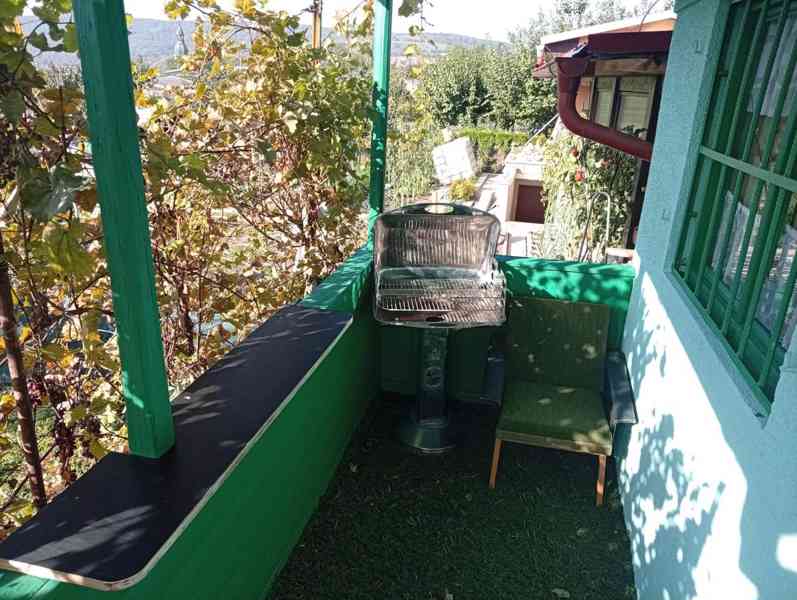 Zahrada s chatou - foto 21