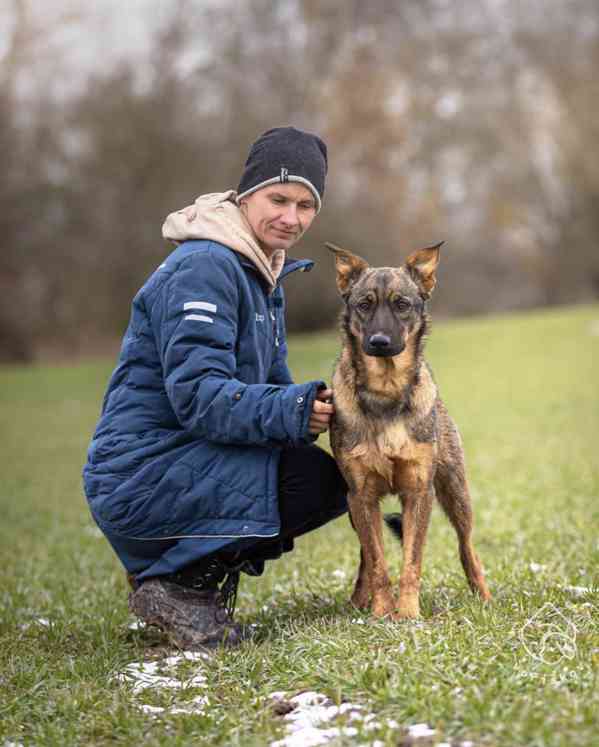 Sairus z útulku Voříškov - foto 2