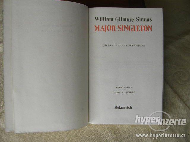 Major Singleton - foto 3