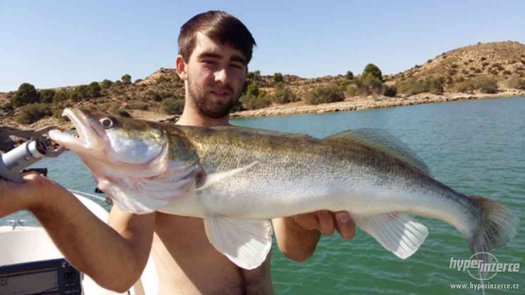 Ebro - dovolená ve Španělsku - rybaření - foto 12