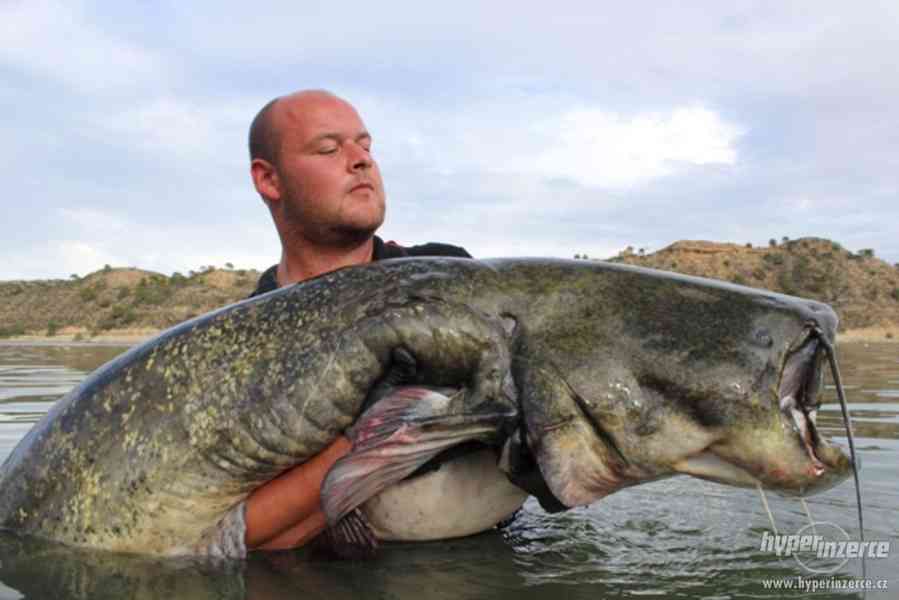 Ebro - dovolená ve Španělsku - rybaření - foto 17