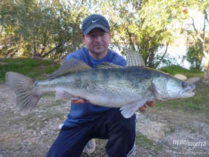 Ebro - dovolená ve Španělsku - rybaření - foto 18