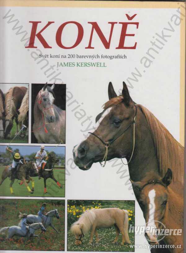 Koně James Kerswell Svojtka a Vašut 1996 svět koní - foto 1