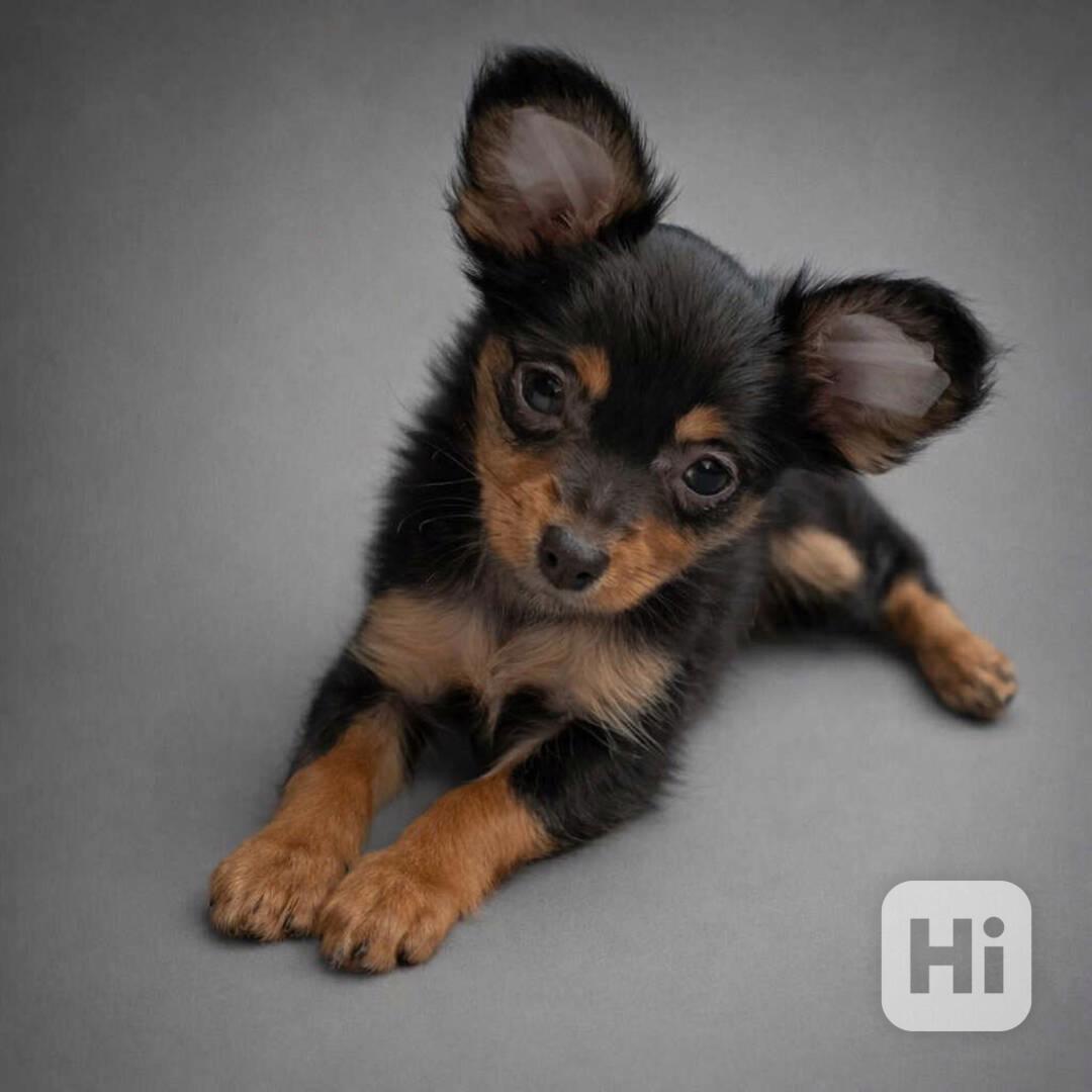 Ruský toy s PP - foto 1