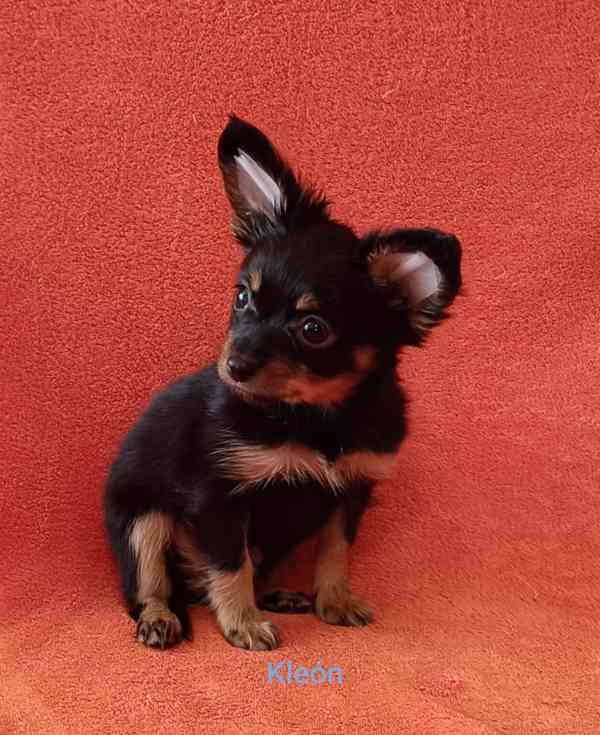 Ruský toy s PP - foto 7