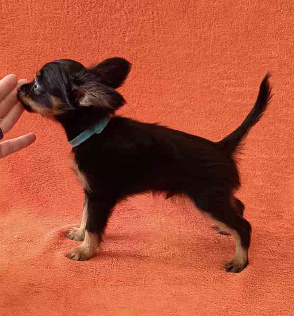 Ruský toy s PP - foto 6