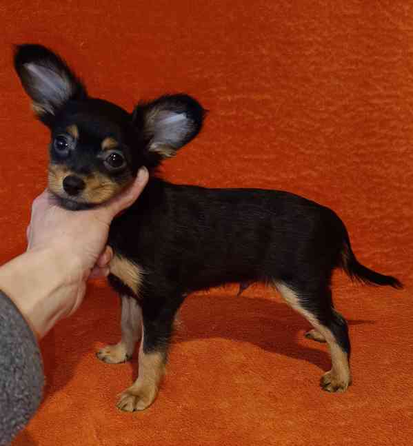 Ruský toy s PP - foto 4