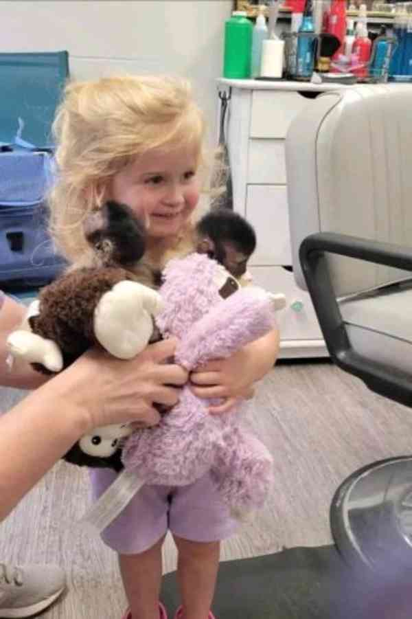 OPICE KAPUCÍNSKÉ K ADOPCI - foto 2