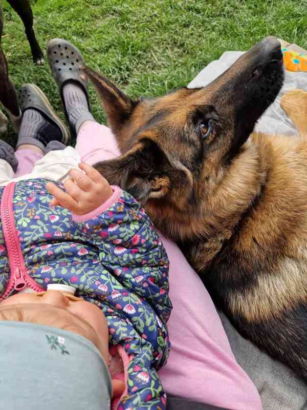 Hledá se nový domov pro ELIZABET - foto 2