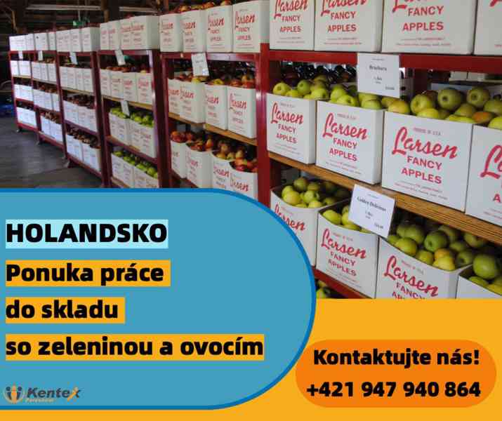 Ponuka práce – skladník/Holandsko/práca v sklade s ovocím a  - foto 1