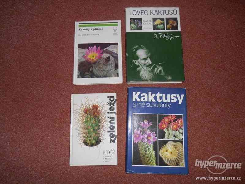 Knihy o KAKTUSECH 3x od 1969 + další věci z půdy - foto 1