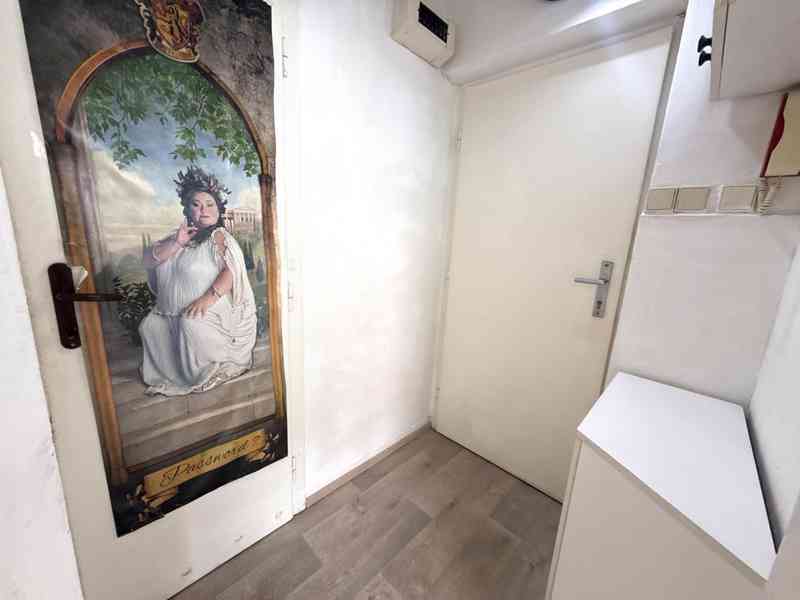 PRONÁJEM PĚKNÉHO CIHLOVÉHO BYTU 1+1,  BRNO – ČERNÁ POLE  - foto 18