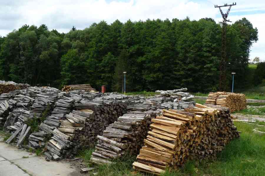 Prodám palivové dřevo - suché - foto 1