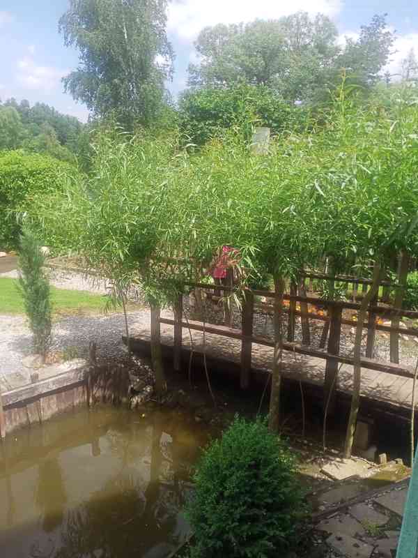 Pronajmu chatu u Lužnice - Kořensko - foto 6